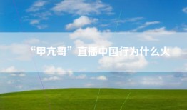 “甲亢哥”直播中国行为什么火