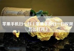 苹果手机扫一扫（苹果手机扫一扫权限怎么打开）