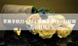 苹果手机扫一扫（苹果手机扫一扫权限怎么打开）