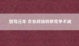 智驾元年 企业战场转移竞争不减