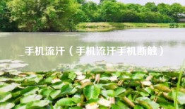 手机流汗（手机流汗手机断触）