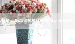 穿搭app信息架构树状图 穿搭app市场分析数据