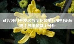 武汉沌口开发区数字化转型行业相关领域（应用领域）分析