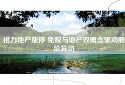 格力地产涨停 免税与地产双概念驱动股价异动