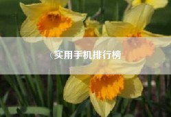 实用手机排行榜