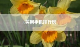 实用手机排行榜