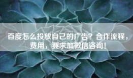 百度怎么投放自己的广告？合作流程，费用，要求加微信咨询！