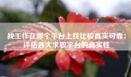 找工作在哪个平台上找比较真实可靠：评估各大求职平台的真实性