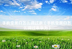 手机变黑白怎么调过来（手机变黑白怎么调过来华为）