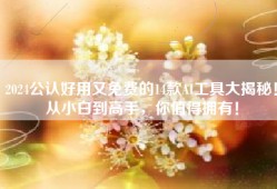 2024公认好用又免费的14款AI工具大揭秘！从小白到高手，你值得拥有！