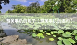 赞美手机的句子（赞美手机的语句）