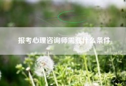 报考心理咨询师需要什么条件