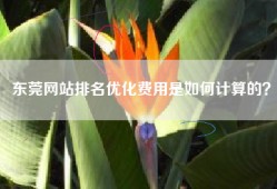 东莞网站排名优化费用是如何计算的？