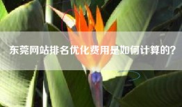 东莞网站排名优化费用是如何计算的？