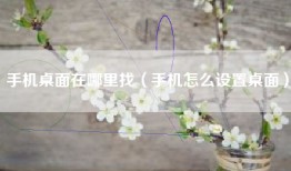 手机桌面在哪里找（手机怎么设置桌面）