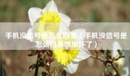 手机没信号是怎么回事（手机没信号是怎么回事哪里坏了）