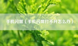 手机闪屏（手机闪屏打不开怎么办）
