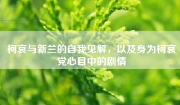 柯哀与新兰的自我见解，以及身为柯哀党心目中的剧情
