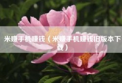 米赚手机赚钱（米赚手机赚钱旧版本下载）