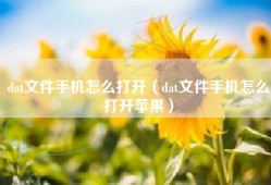 dat文件手机怎么打开（dat文件手机怎么打开苹果）