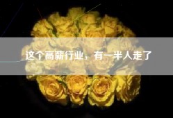 这个高薪行业，有一半人走了
