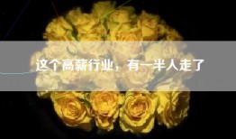 这个高薪行业，有一半人走了