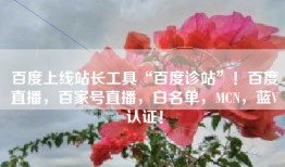 百度上线站长工具“百度诊站”！百度直播，百家号直播，白名单，MCN，蓝V认证！