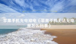 苹果手机充电掉电（苹果手机无法充电是怎么回事）