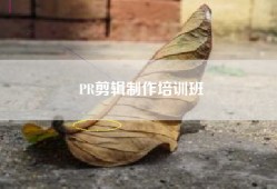PR剪辑制作培训班