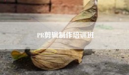 PR剪辑制作培训班
