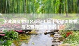 关键词搜索排名查询工具【关键词搜索排名查询工具下载】