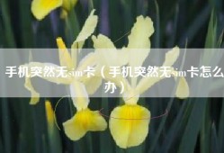 手机突然无sim卡（手机突然无sim卡怎么办）