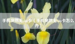 手机突然无sim卡（手机突然无sim卡怎么办）