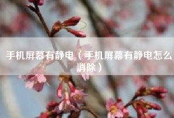手机屏幕有静电（手机屏幕有静电怎么消除）