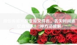 微信传照片改变原文件名，丢失时间追忆真烦人！7种方法破解