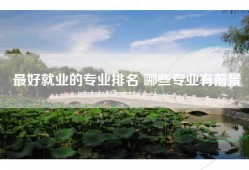 最好就业的专业排名 哪些专业有前景