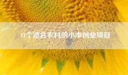 11个适合农村的小本创业项目