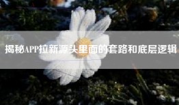 揭秘APP拉新源头里面的套路和底层逻辑