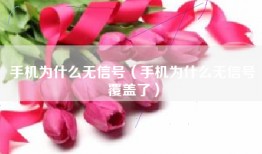 手机为什么无信号（手机为什么无信号覆盖了）