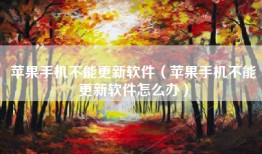 苹果手机不能更新软件（苹果手机不能更新软件怎么办）