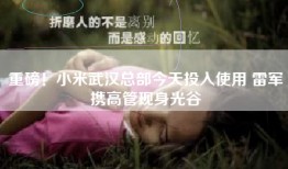 重磅！小米武汉总部今天投入使用 雷军携高管现身光谷