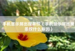 手机显示屏出现条纹（手机显示屏出现条纹什么原因）