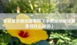 手机显示屏出现条纹（手机显示屏出现条纹什么原因）