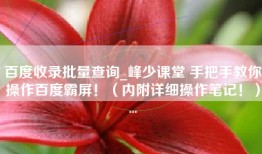 百度收录批量查询_峰少课堂 手把手教你操作百度霸屏！（内附详细操作笔记！）...