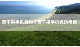 查苹果手机真伪（查苹果手机真伪电话）