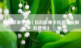 捡的苹果手机（捡的苹果手机能不能刷机使用）