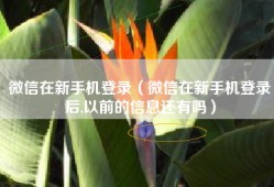 微信在新手机登录（微信在新手机登录后,以前的信息还有吗）