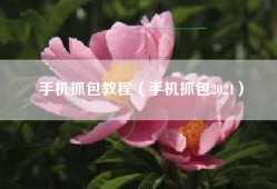 手机抓包教程（手机抓包2021）