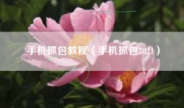 手机抓包教程（手机抓包2021）