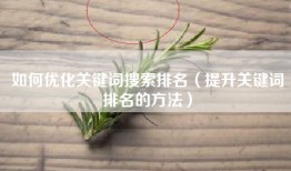 如何优化关键词搜索排名（提升关键词排名的方法）